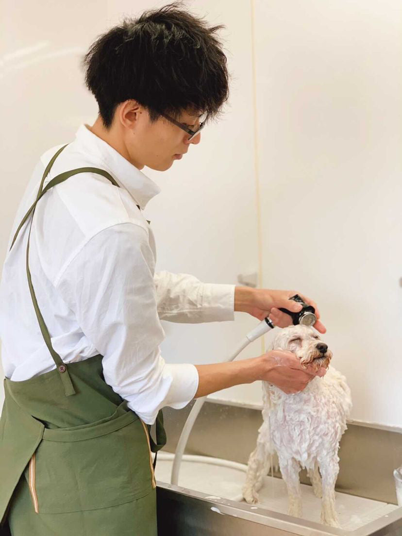 #602 在庫限り　ネイビー【プロライン/スタンダードタイプ】トリマー さんの声から生まれた！吸水速乾・軽量・毛が落ちやすい ワーキングエプロン